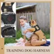 thumbnail image 5 of Pechera Tactica P/perros Y Gatos, Razas Pequeñas Ajustable, 5 of 7