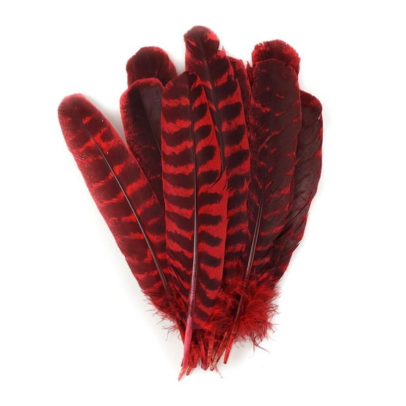 Zucker Feather Products Barred Turkey Quills Selected - Left Wing - 8-12" - Hot Red
