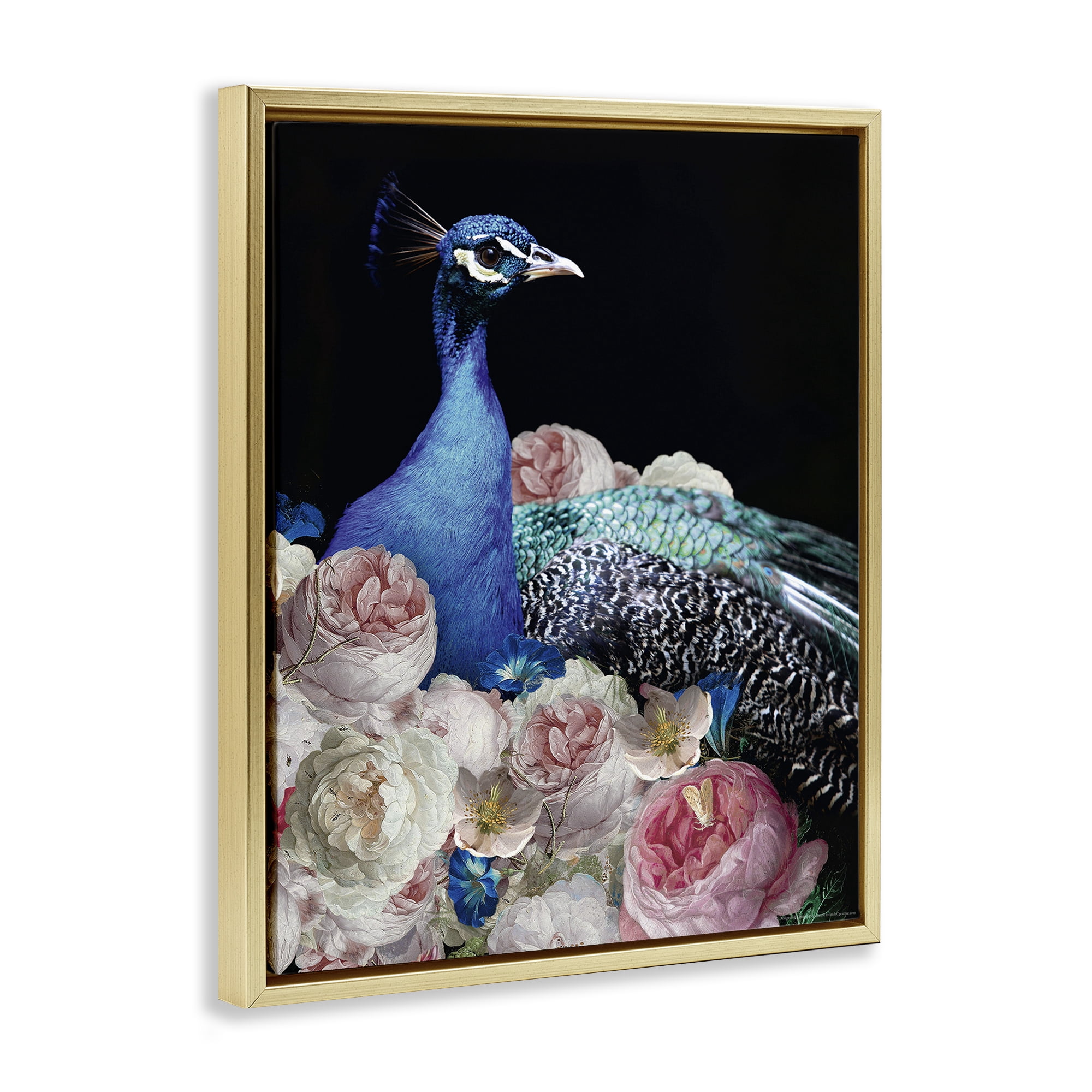Stupell Industries Peacock & Peonies Animals Painting Gold Floater Framed Canvas Art Print Wall Art, 25 x 31