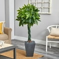 thumbnail image 3 of Nearly Natural 5' Variegated Ficus Artificial Tree in Slate Planter, Green, 3 of 3