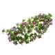 thumbnail image 5 of Guirnalda de flores de seda artificial,Flor falsa,Vid de flor artificial,Decoración colgante,Suministro de guirnaldas,Decoración floral,Decoración de la boda,Decoración de fiesta,Corona de, 5 of 9