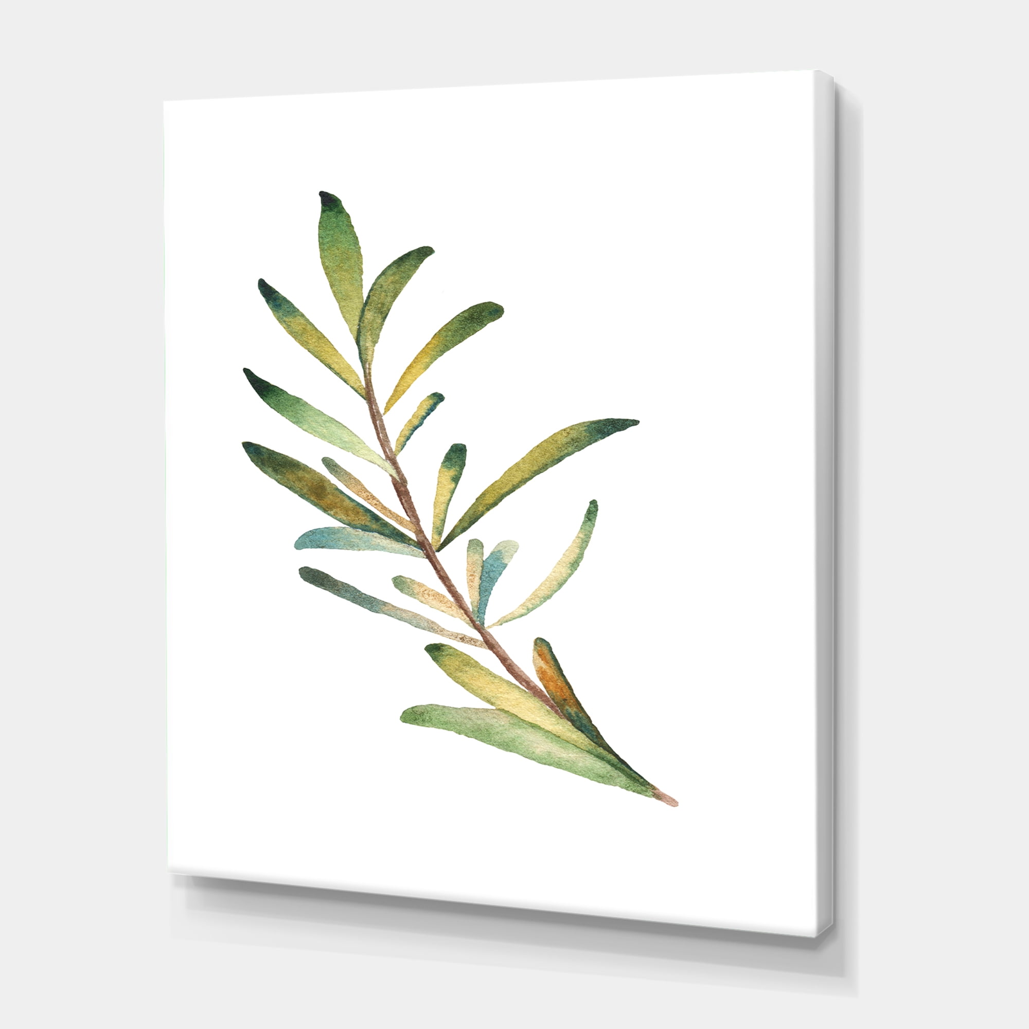 Designart ' Leaf Rosemary Branch on White ' Traditional Canvas Wall Art Print