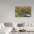 thumbnail image 3 of Trademark Fine Art 'Tremont Stream' Canvas Art by Galloimages Online, 3 of 3