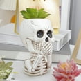 thumbnail image 5 of Uxgjfwu Halloween Skull Planter Pot - Hand Painted Resin Flower Pot for Indoor Outdoor Decor, 5 of 6
