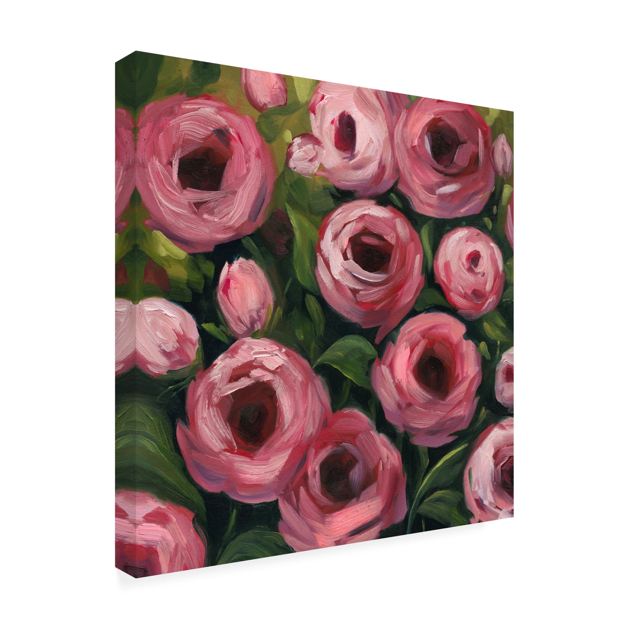 Trademark Fine Art Grace Popp  Wiliest Roses II Canvas Wall Art