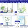 thumbnail image 3 of 50 Window Fly Traps Sticky Non-Toxic Clear Fly Paper Indoor for Home. No Mess Flies Window Sticky Traps Bug Flies Strips Indoors. Fruit and Housefly Trap Indoor Flypaper Tape Gnat Catcher Killer, 3 of 8