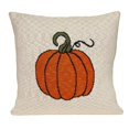 thumbnail image 1 of Parkland Collection PILK21150P Coussin Transitionnel, Beige, 1 of 5