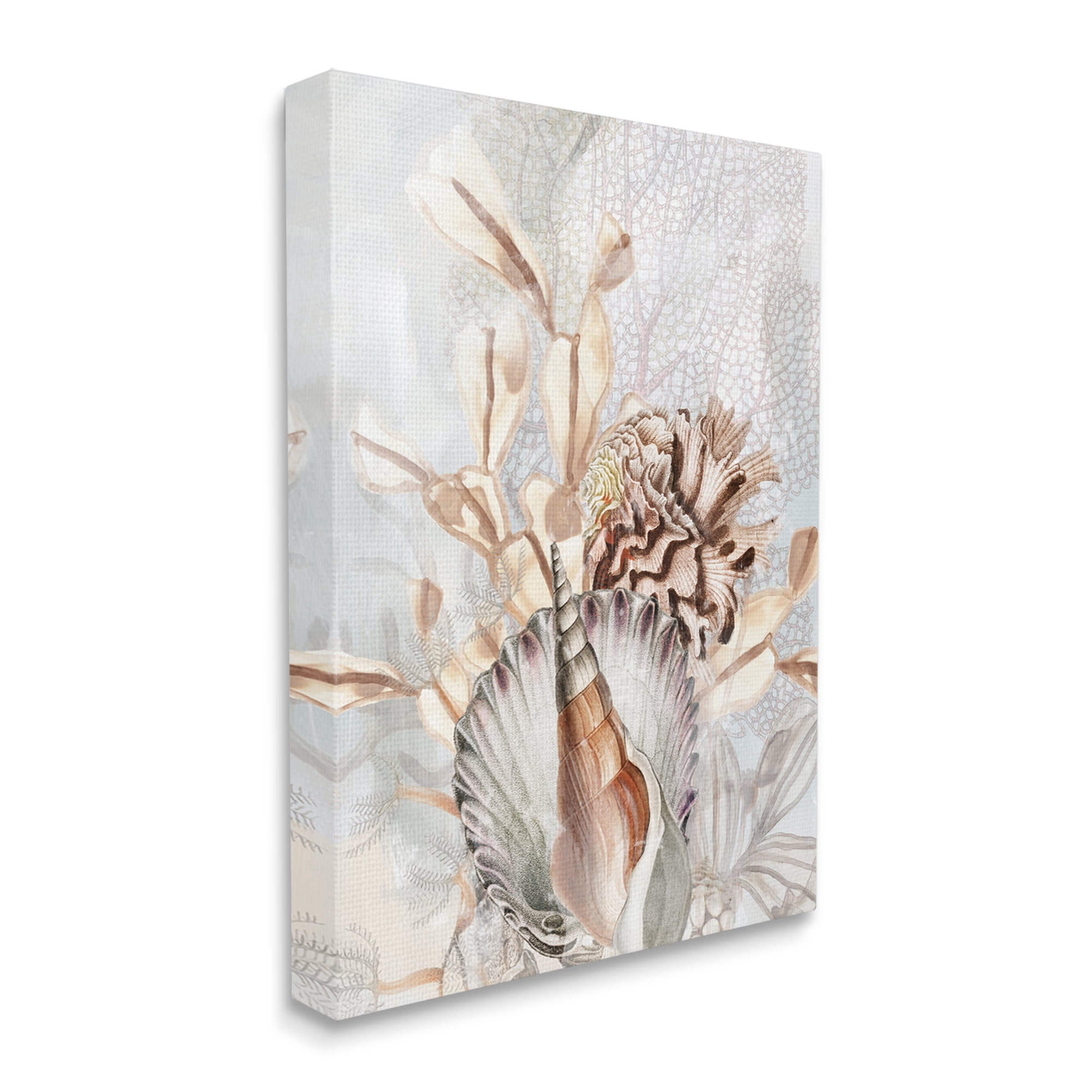 Stupell Industries Various Beige Sea Life Animals & Insects Painting Gallery Wrapped Canvas Art Print Wall Art, 24 x 30