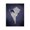 Lightning Whelk Indigo, variant on Stupell Industries Coastal Fiber Conch on Blue Black Floating Frame Canvas Art, 17 x 21, by Graffitee Studios