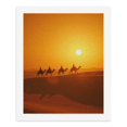 thumbnail image 5 of Paint by Numbers Kit for Adults, Sunset Desert Camel Caravan Journey Paint by Numbers, Easy Paint by Numbers Kit for Adults Beginner, DIY Adult Paint by Number Kits on Canvas, Home Decor, 5 of 7
