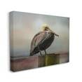 thumbnail image 3 of Stupell Pelican Perched Wildlife Nature Animals & Insects Photography Gallery Wrapped Canvas Print Wall Art, 3 of 5