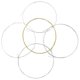 thumbnail image 5 of OFFIGAM 5Ud Cuerdas Recubiertas Para Banjo 5 Cuerdas Con Tensión Moderate Y Enriquecida, 5 of 8
