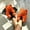B_ Orange Slippers for Women, variant on Women's Fuzzy Open Toe Slippers, Tie Dye Plush Bubble Slides, Cozy Fluffy House Slippers with Anti‑Skid Sole for Indoor Outdoor 36