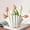 White_Free Size, variant on Kchsji Hydroponic Shells Vase Imitation Ceramic 7.48"x4.72"x3.94" Flower Arrangement Container for Fresh Cut Flowers or Desktop Plants Home Office Tabletop Decorative Ornament Indoor Outdoor Accent