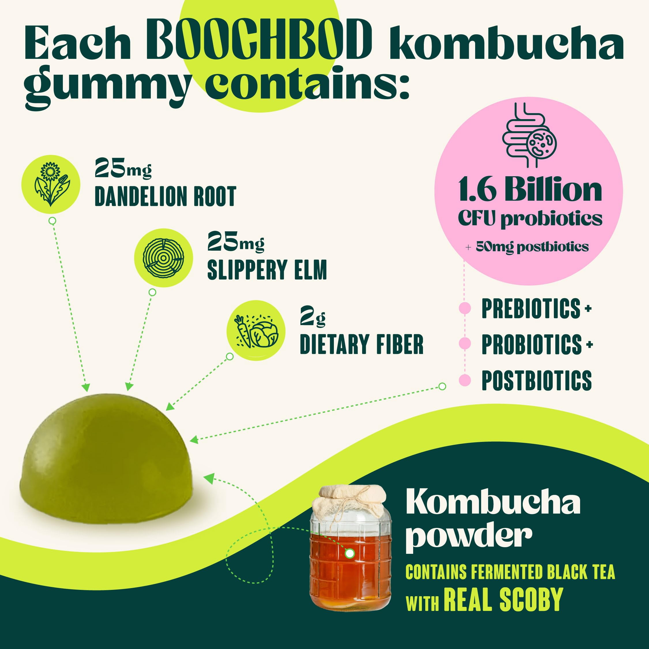 BoochBod - Probiotic Kombucha Gummy - Prebiotics, Probiotics, Postbiotics, Fiber Supplement, Slippery Elm, Dandelion Root, for Bloating, Gut Health - For Women and Men - Lemon Lime