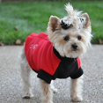 thumbnail image 1 of Highline Fleece Dog Coat by Doggie Design - Red and Black Size 16LC, 1 of 1