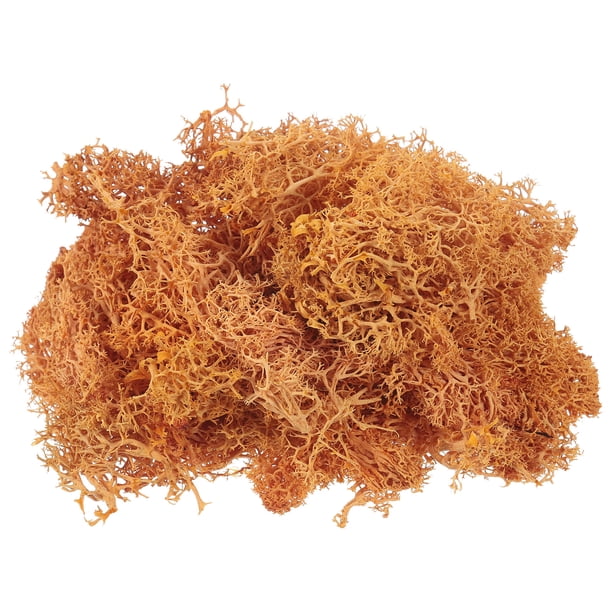 Uxcell 0.35 OZ Musgo Falso Musgo Artificial Musgo Natural Conservado para Proyectos de Arte Floral DIY (Naranja)