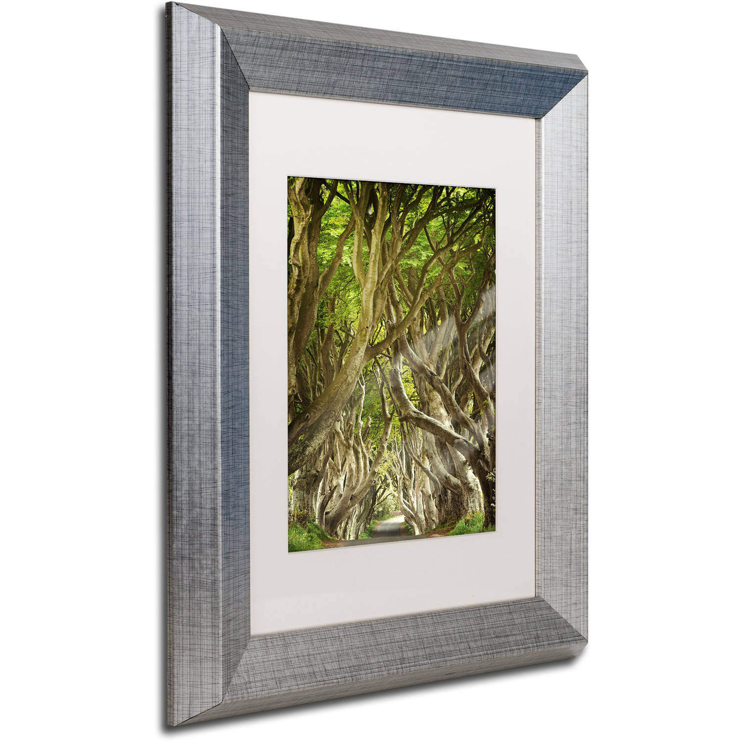 Trademark Fine Art "The Way It Is" Canvas Art by Philippe Sainte-Laudy, White Matte, Silver Frame