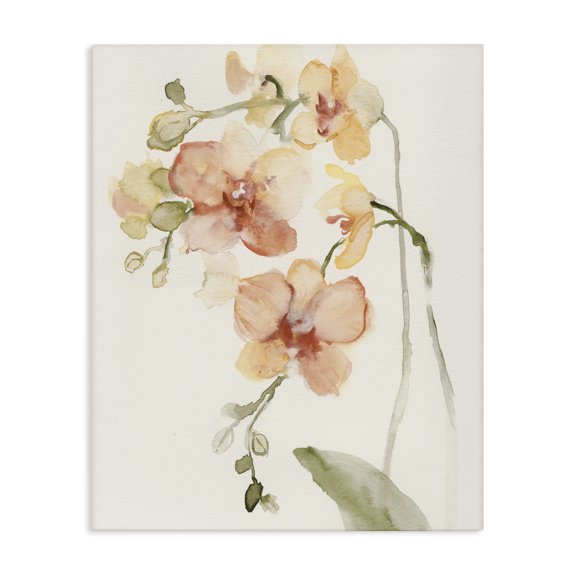 Stupell Industries Peach Orchid in Bloom Canvas Wall Art, design by Victoria Barnes