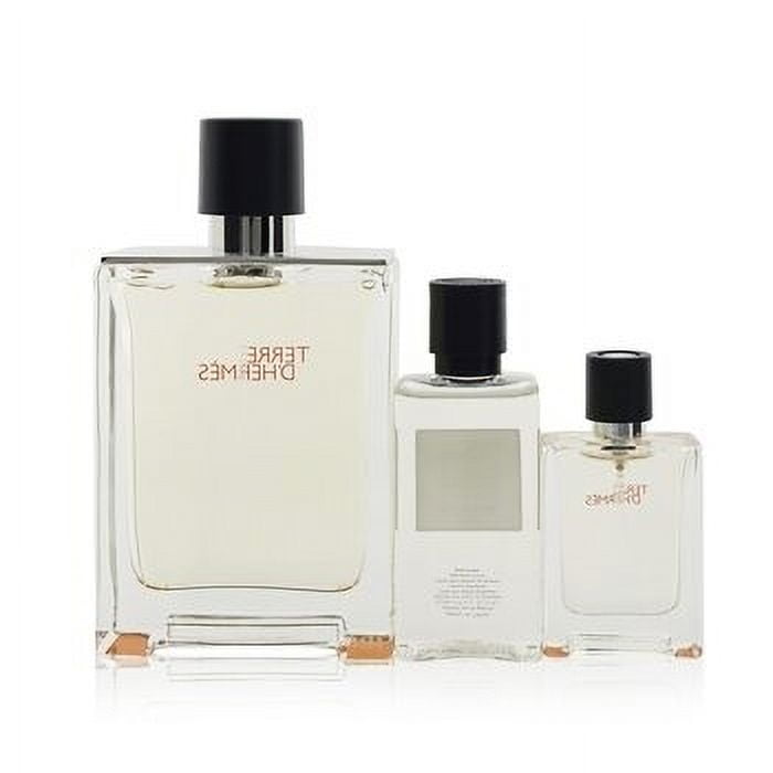 Hermes Terre D'Hermes Perfume Set: Eau De Toilette Spray 100ml