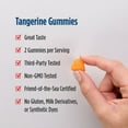 thumbnail image 5 of Nordic Naturals Nordic Omega-3 Gummies for Kids, 82 Mg, EPA & DHA, 120 Ct, 5 of 8