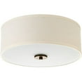 thumbnail image 1 of Progress Lighting P3713-20 Inspire Collection Two-Light Flush Mount, Antique Bronze, 1 of 1