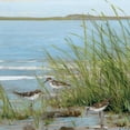 thumbnail image 3 of Swatland, Sally 15x15 Black Modern Framed Museum Art Print Titled - Afternoon On The, 3 of 5