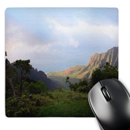 3dRose  View from the Top Waimea  MousePad price history on PriceWatchPro