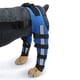 thumbnail image 2 of Doble protección para la pata trasera del perro, rodillera para artrosis por luxación del ligamento cruzado anterior, mantiene la articulación caliente, soporte adicional, azul (M), 2 of 5