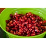 1 Gal. Wonderful Pomegranate - Delicious Fruit