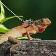 thumbnail image 6 of Zkca Reptiles Harness Leash, 3PCS Adjustable Bearded Dragon Harness with 5.4Ft Leash for Gecko, Bearded Dragon, Iguana, Hamster, Guinea Pig A417, 6 of 7