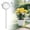 B, variant on Glass Plant Watering Globes,Self Watering Globes Bird Shape,Plant Watering Devices,Self Watering Planter Insert,Automatic Watering Bulbs for Indoor Plants(A)