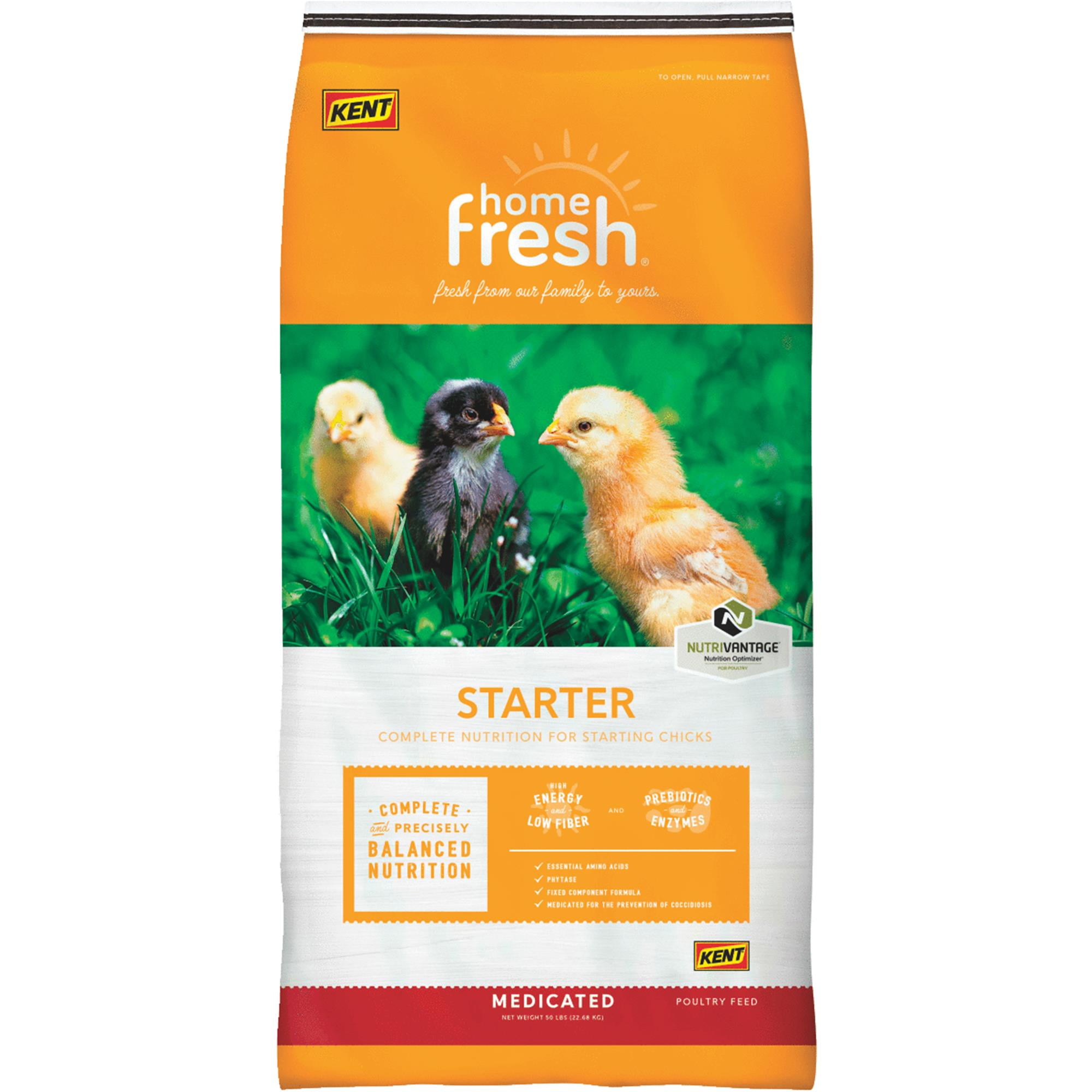 Home Fresh Chicken Starter Chicken Feed