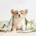 thumbnail image 4 of Naloa Sweet Honey Dog Blanket, 3 Sizes Cat Blanket for Indoor Cats Large Medium Small Dog Gifts-Large, 4 of 8