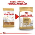 thumbnail image 2 of Alimento para Perro Royal Canin Labrador Retriever 13.6Kg, 2 of 2
