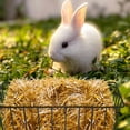 thumbnail image 3 of 2Pcs Hanging Hay Racks Decorative Hay Container Guinea Pig Hay Feeder Hay Holder, 3 of 9