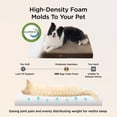 thumbnail image 5 of U By Bedsure ComfyFleece XL Dog Bed for Crate - Extra Large Orthopedic Pet Beds with Removable Washable Cover, NOT Waterproof Egg Crate Foam Mat for Pets Up to 80 lbs, 41"x27"x3.3", Not for Chewers, 5 of 8