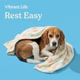 thumbnail image 4 of Vibrant Life Pet Throw, Multicolor Paws, 36" x 27", 4 of 8