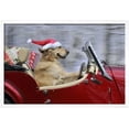 thumbnail image 2 of Golden Retriever Dog Wearing Father Christmas, Animals Transportation Framed Art Print Wall Art Sold by Art.Com, 2 of 6