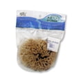 thumbnail image 1 of CEPILLO REAL ROYAL BRUSH  RYR2021, 1 of 1