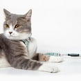 thumbnail image 6 of Touchcat 'Radi-Claw' Durable Cable Cat Harness and Leash Combo, 6 of 6