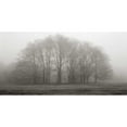 thumbnail image 3 of Iacobellis, Michael 24x14 Black Modern Framed Museum Art Print Titled - Gathering Trees, 3 of 5