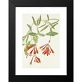 thumbnail image 2 of Mary Vaux Walcott 18x24 Black Modern Framed Museum Art Print Titled - Trumpet Honeysuckle. (Lonicera Sempervirens) (1925), 2 of 5