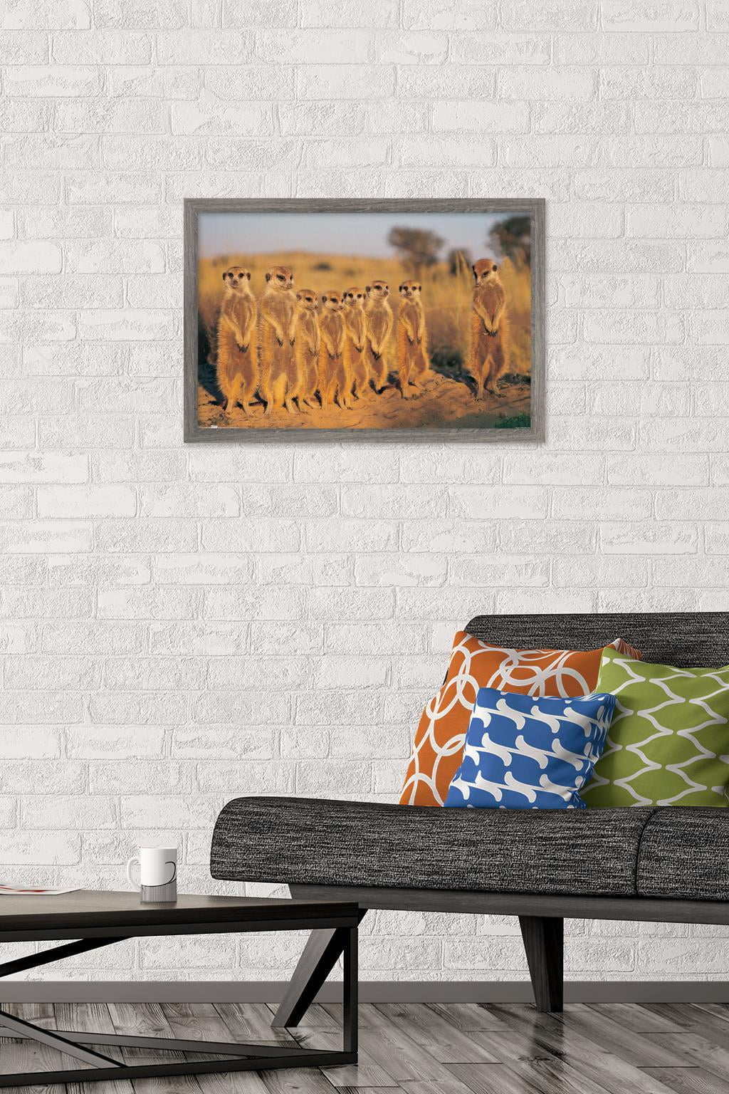 Meerkat Wall Poster, 14.725" x 22.375", Framed
