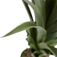 thumbnail image 3 of Nearly Natural Agave à Pointes 4 Pieds Vert, 3 of 7
