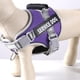 thumbnail image 4 of Arnés para perros de servicio, chaleco en entrenamiento, mascota sin tirones, cachorro, Animal de apoyo emocional, 4 of 5