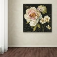thumbnail image 3 of Trademark Fine Art Lisa Audit Marche de Fleurs on Black Canvas Wall Art - 14x14, 3 of 3