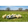 Miller Manufacturing Slide Top Poultry Feeder, 12"
