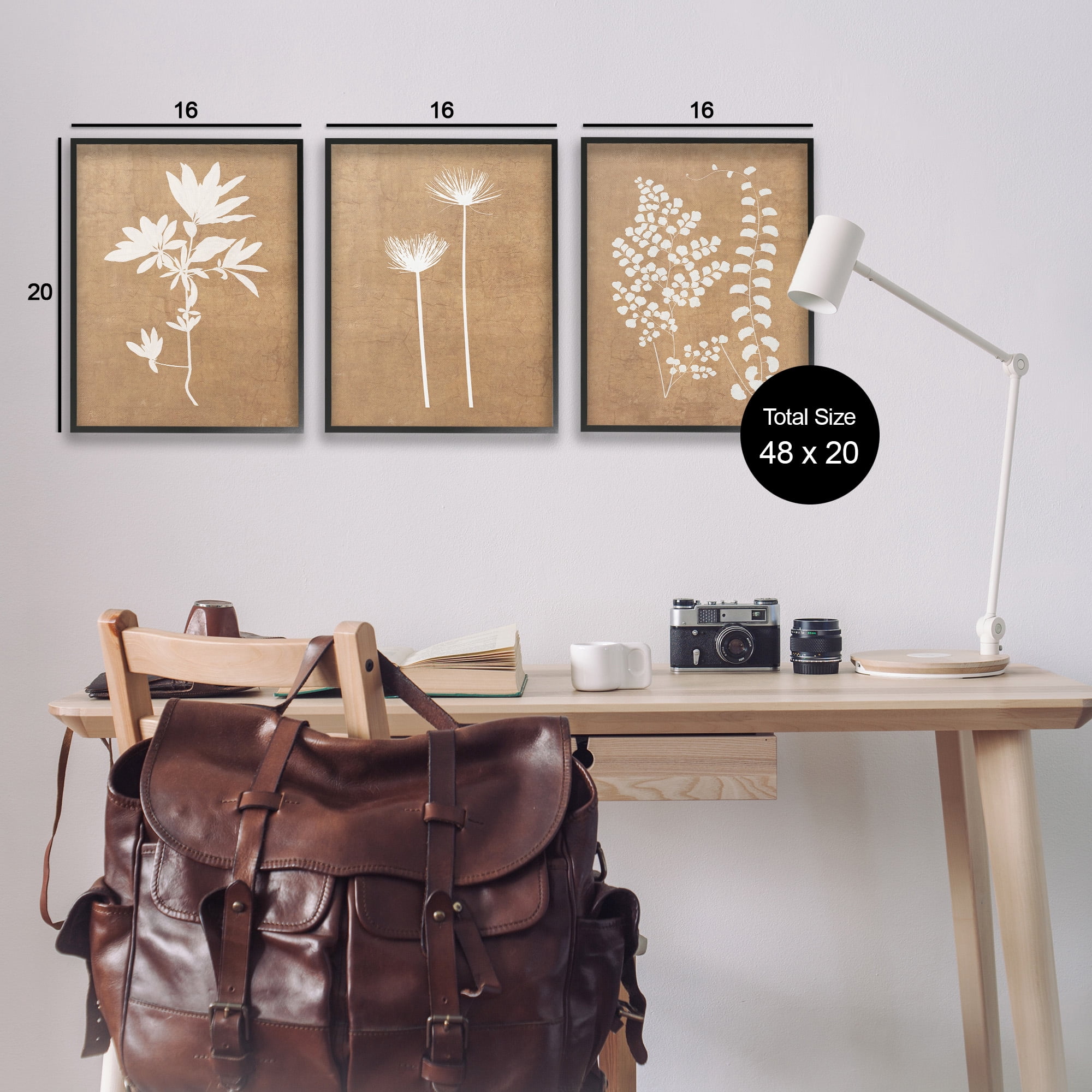 Stupell Industries Nature Botanical Silhouettes Botanical & Floral Painting Black Framed Art Print Wall Art, 16 x 20, Set of 3