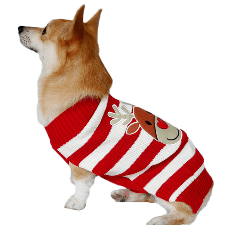 A Festive Collection of the Cutest Dog Christmas Sweaters